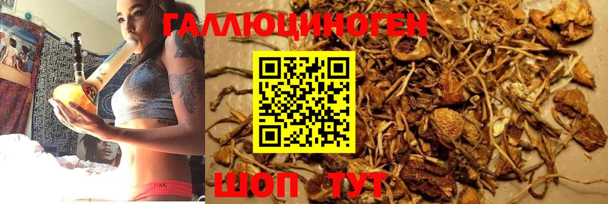 Люберцы  Галлюциногенные грибы MAGIC MUSHROOMS  Вход с VPN 