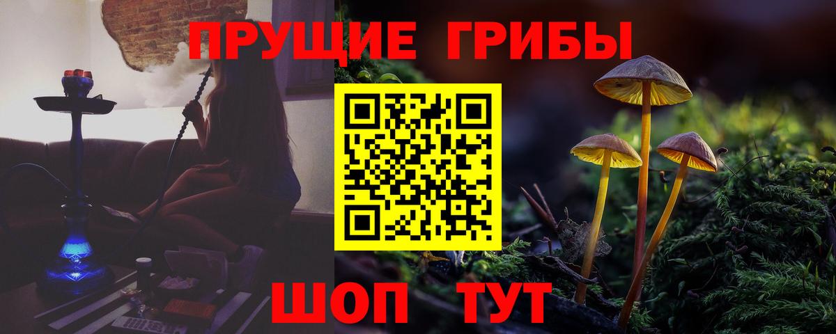 Галлюциногенные грибы Magic Shrooms Люберцы